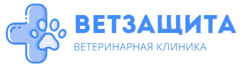 ВетЗащита, Ветеринарная клиника